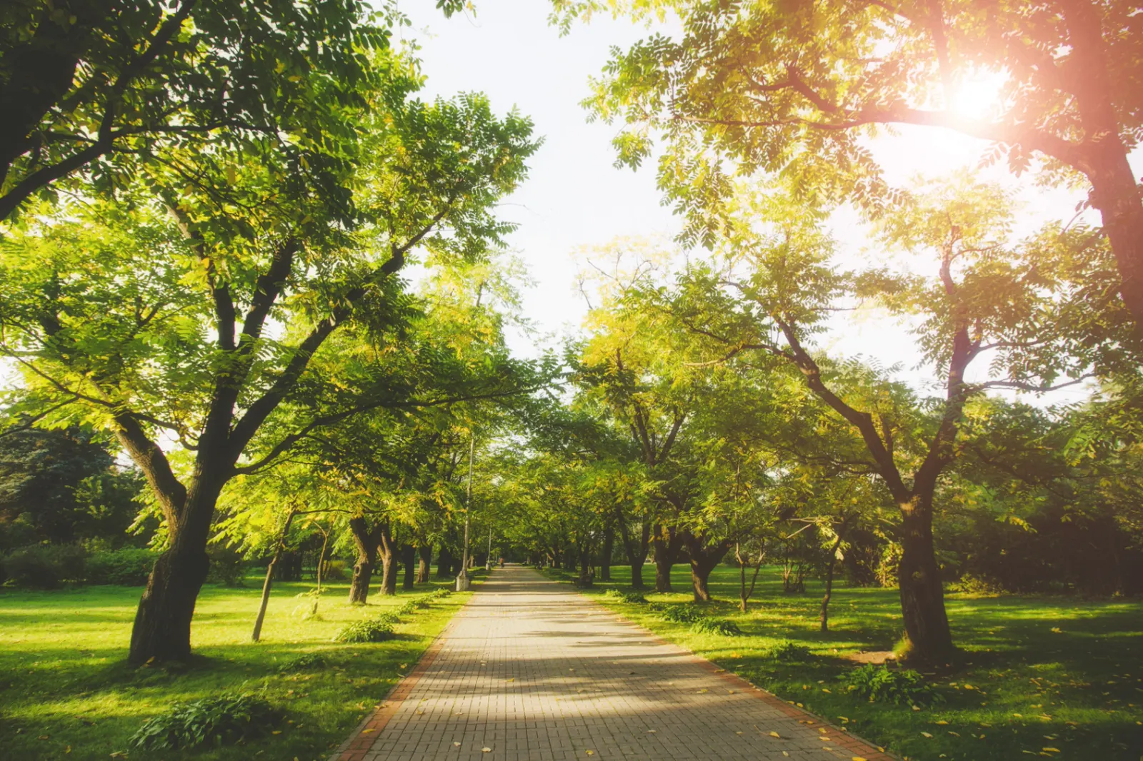 Therapy support related to Stress Counselling Surrey: Expert Therapy for Anxiety & Burnout